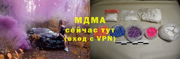 стаф Алзамай