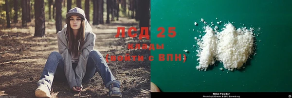стаф Алзамай