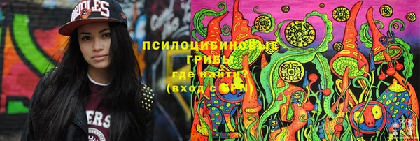 стаф Алзамай