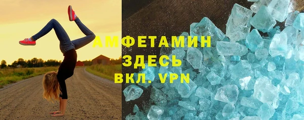 стаф Алзамай