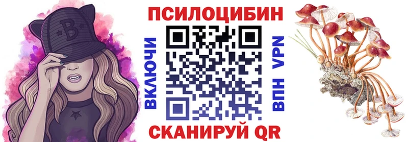мега зеркало дарк нет телеграм Елабуга Псилоцибиновые грибы Magic Shrooms как найти закладки