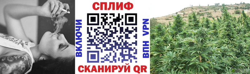 Шишки марихуана конопля  Елабуга 